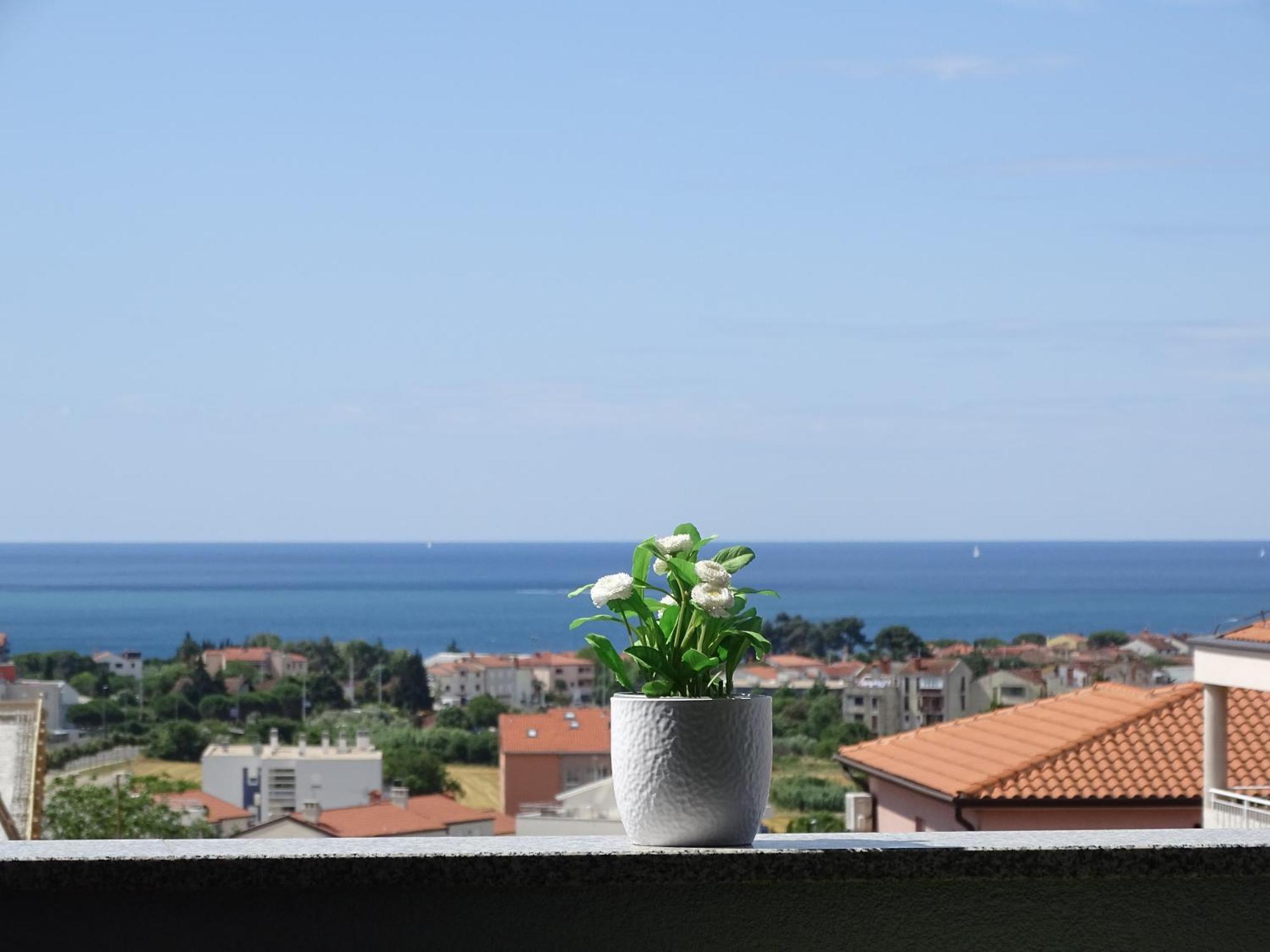 Apartment Bellavista Novigrad Istria Εξωτερικό φωτογραφία