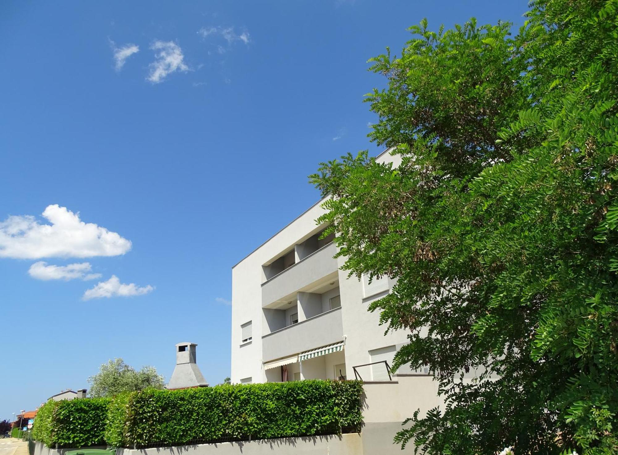 Apartment Bellavista Novigrad Istria Εξωτερικό φωτογραφία